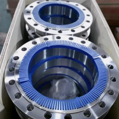 A182 F304 Boru Flanşları Çelik WNRF Flanş