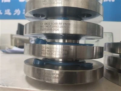 DN32 HASTELLOY B3 Soket Kaynaklı RF Flanş – PN16